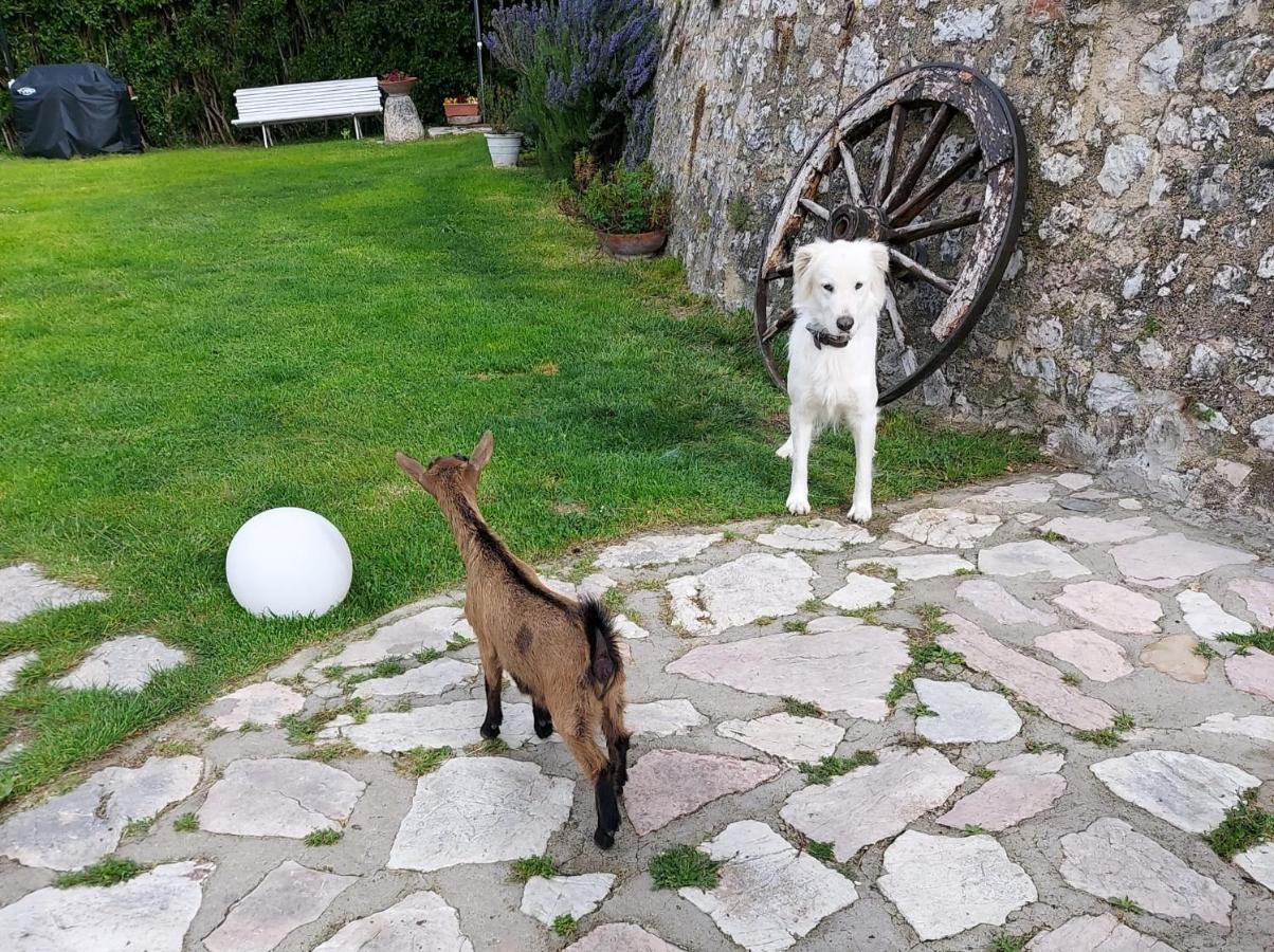 Campagna In Compagnia Villa Vallo di Nera Buitenkant foto