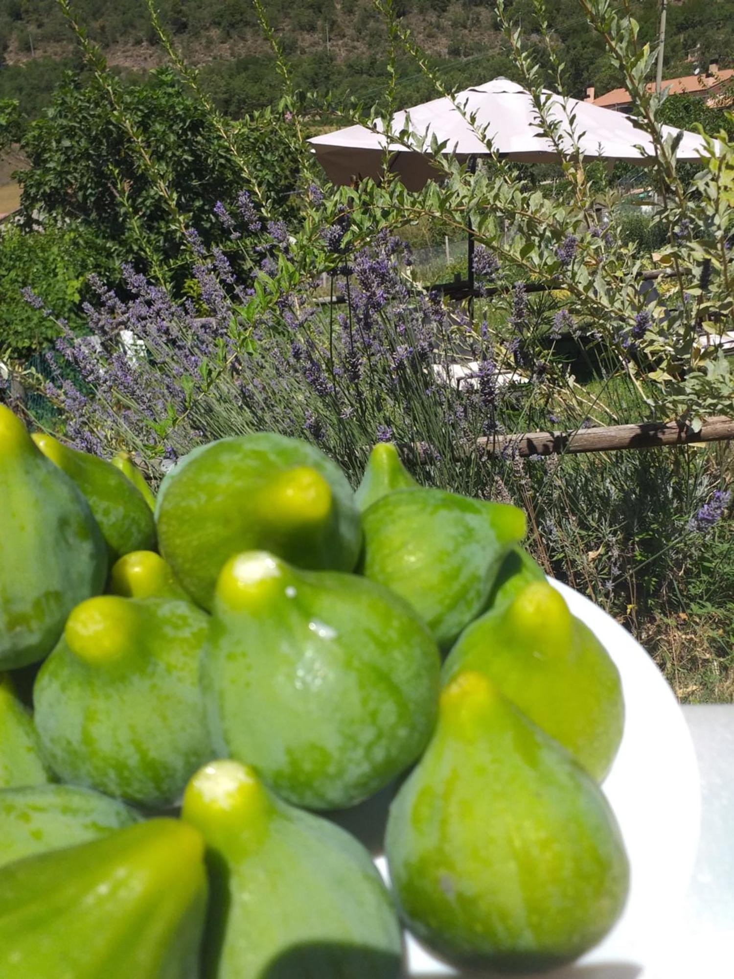 Campagna In Compagnia Villa Vallo di Nera Buitenkant foto