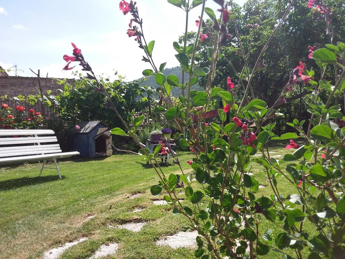 Campagna In Compagnia Villa Vallo di Nera Buitenkant foto